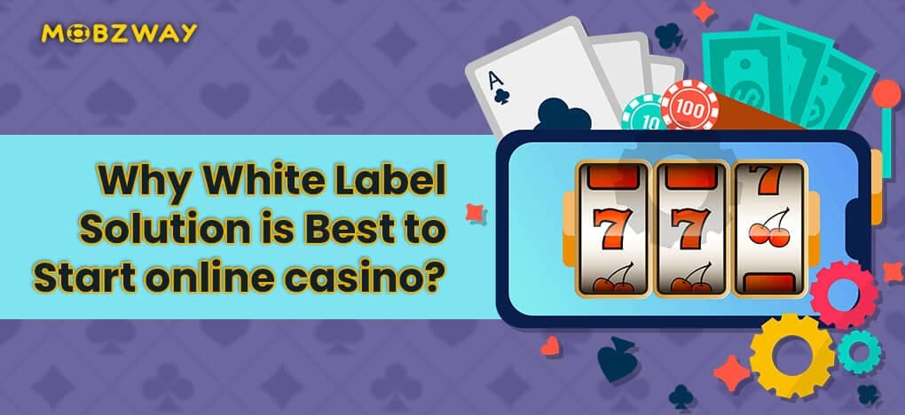 Why a White Label Solution is Best Than Building Your Own?