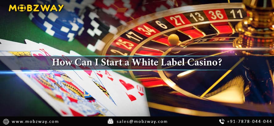 How Can I Start a White Label Casino?